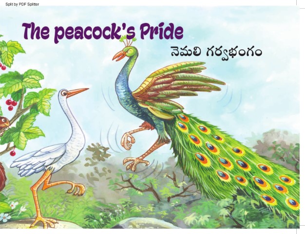 The Peacock's Pride